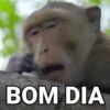 MEMES/REAÇÕES 😂👍 6