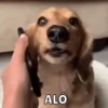 Memes pt. 4 9