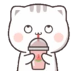 KITTY CHAN 15