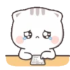 KITTY CHAN 13