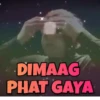 Swag stickers 15