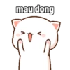 Peach Cat 15