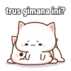 Peach Cat 12