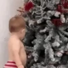 Funny Gif 8