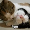 tqm
