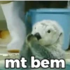REAÇÕES ALEATÓRIAS 🤪 12