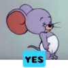 Tom-&-Jerry Animated 11