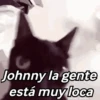🌈🌈 Mix Gatitos Animados 😻☁️❤️🌈 10