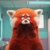 Turning Red Animados 🦊❤️ 5