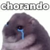 CHORO E DESESPERO 🥺😭 11