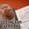 My Crypto Life 13