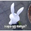 Random gif 9