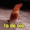 ANIMADAS TOPZERA 7