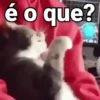 REAÇÕES ALEATÓRIAS 🤪 5