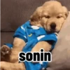 Animadinhas da semana 13