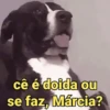 é pra reagir 😂 12