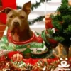 Рождественские мемы 🎄🎅 10