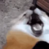 Funny Reactions 14