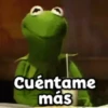 🐸 La Rana René 🐸 6