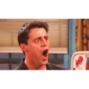 FRIENDS REACTIONS 11