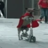 Perritos Animados 7