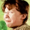 Harry Potter 14