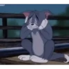 Animated Reactions 15