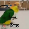 Memes Animados  14