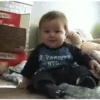 Baby Reactions 10