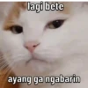 AYANG 8