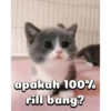 Ulu ulu gumushhh🥰 12