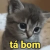 é meme & deboche 😌 10