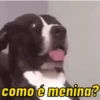 FIGURINHAS DIVERSAS 14