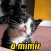 MEMES PARA PESSOAS ALEATORIAS 10