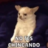 Memes pt. 4 7