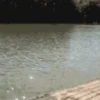 Random Memes And Pranks 10
