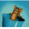 M E M E 11