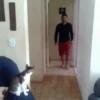 My Daily Life #2 10
