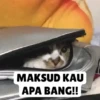 Low quality cat 6
