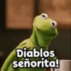 🐸 La Rana René 🐸 8