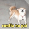 E é meme é? 13