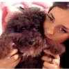 Miaotv figurinhas animadas 19