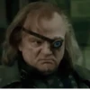 Harry Potter 8