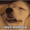 Memes pt. 4 5