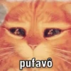 PACOTE ALEATORIO 14