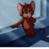 Tom and Jerry 14