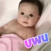 Bebés 👶 10