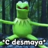 🐸 La Rana René 🐸 10