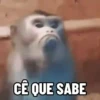 INDIGNADO😤 7