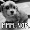 Perritos ? 9